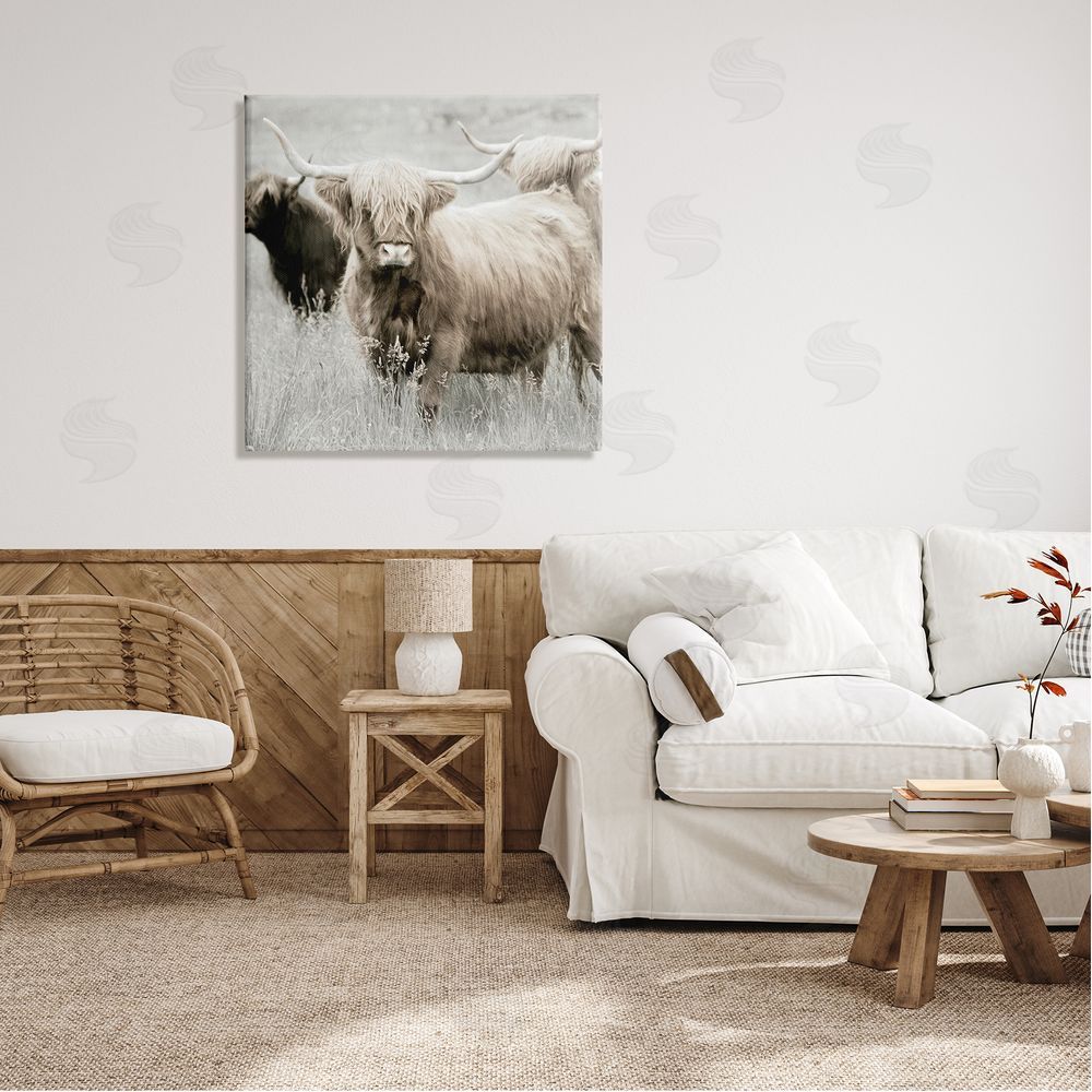 Danita Delimont Highland Cattle Country Meadow Canvas Wall Art in Room