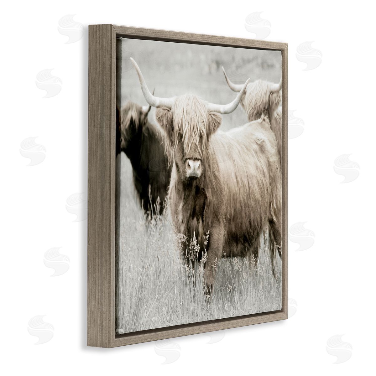 Danita Delimont Highland Cattle Country Meadow Brown Floating Frame Canvas Wall Art Print
