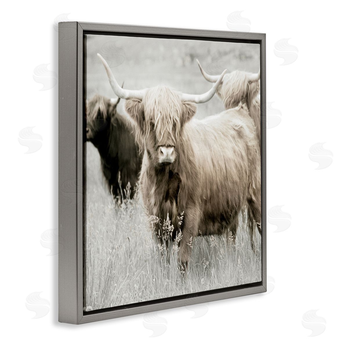 Danita Delimont Highland Cattle Country Meadow Gray Floating Frame Canvas Wall Art Print