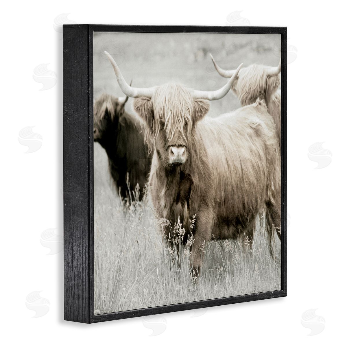 Danita Delimont Highland Cattle Country Meadow Black Framed Glicee Wall Art Print