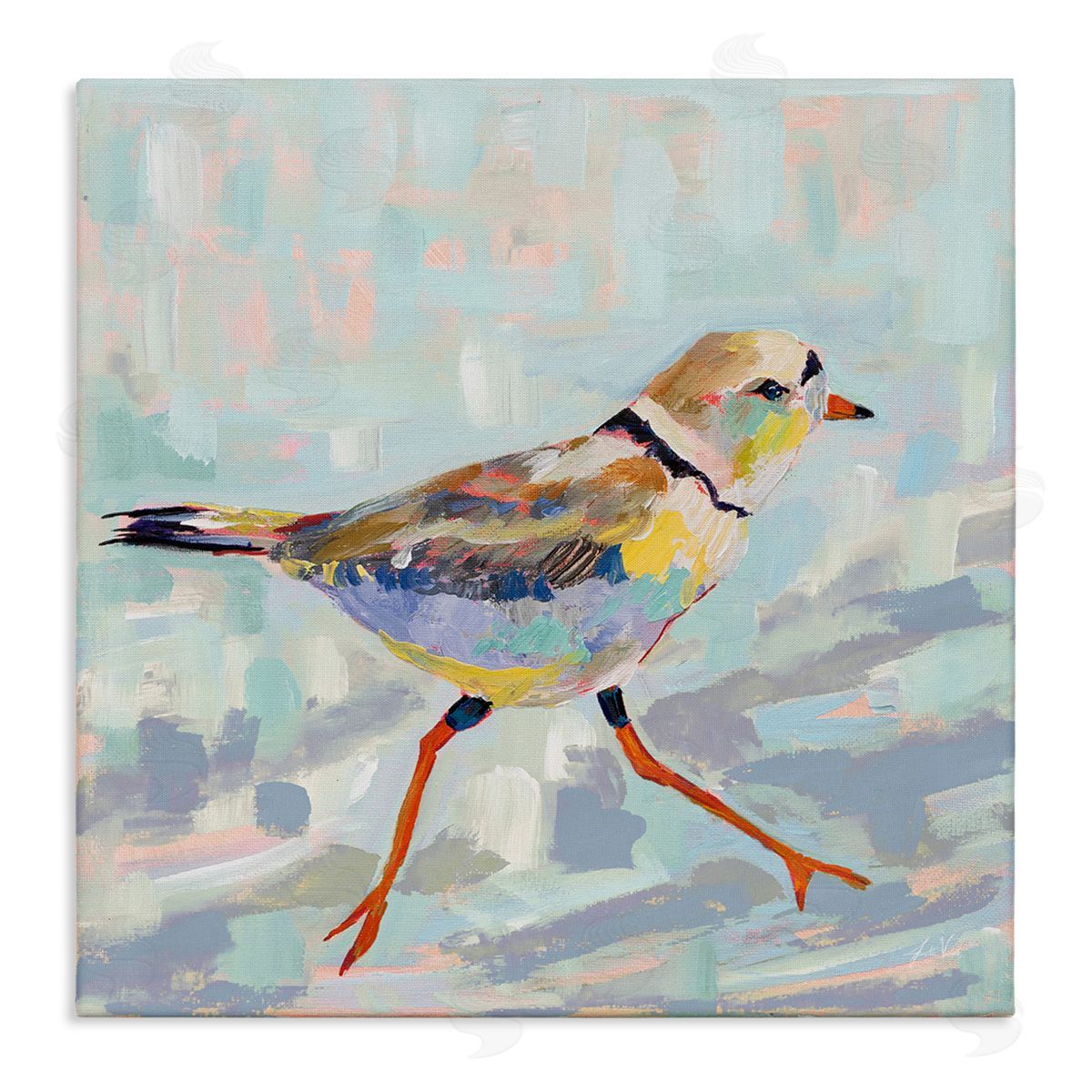 Jeanette Vertentes Coastal Plover Abstract Bird Stretched Canvas Wall Art Print