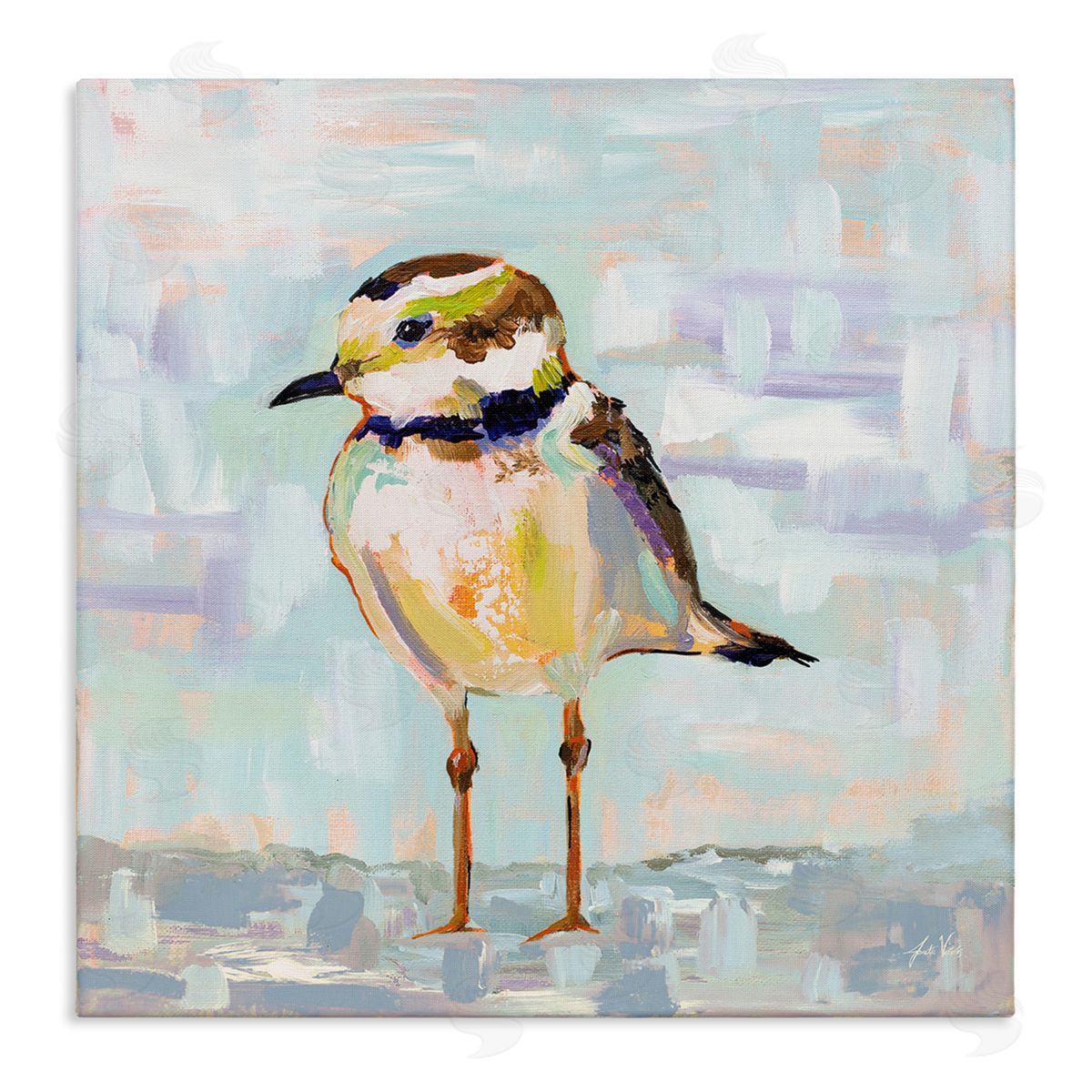 Jeanette Vertentes Coastal Plover Patchwork Abstract Stretched Canvas Wall Art Print
