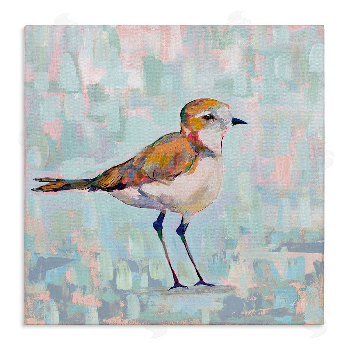 Jeanette Vertentes Coastal Plover Nautical Bird Stretched Canvas Wall Art Print