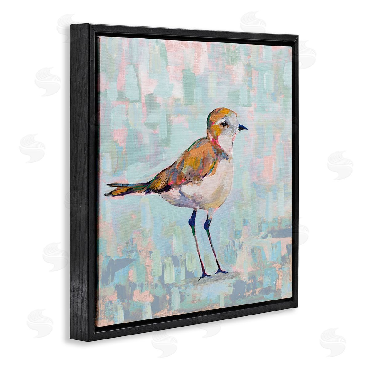 Jeanette Vertentes Coastal Plover Nautical Bird Black Floating Frame Canvas Wall Art Print