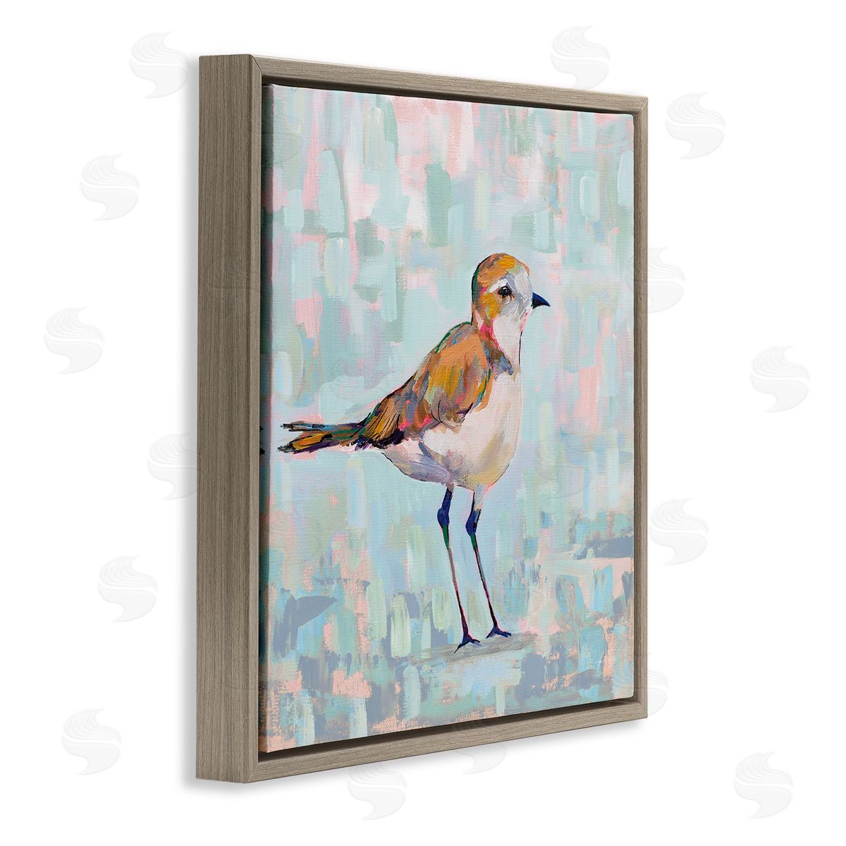Jeanette Vertentes Coastal Plover Nautical Bird Brown Floating Frame Canvas Wall Art Print