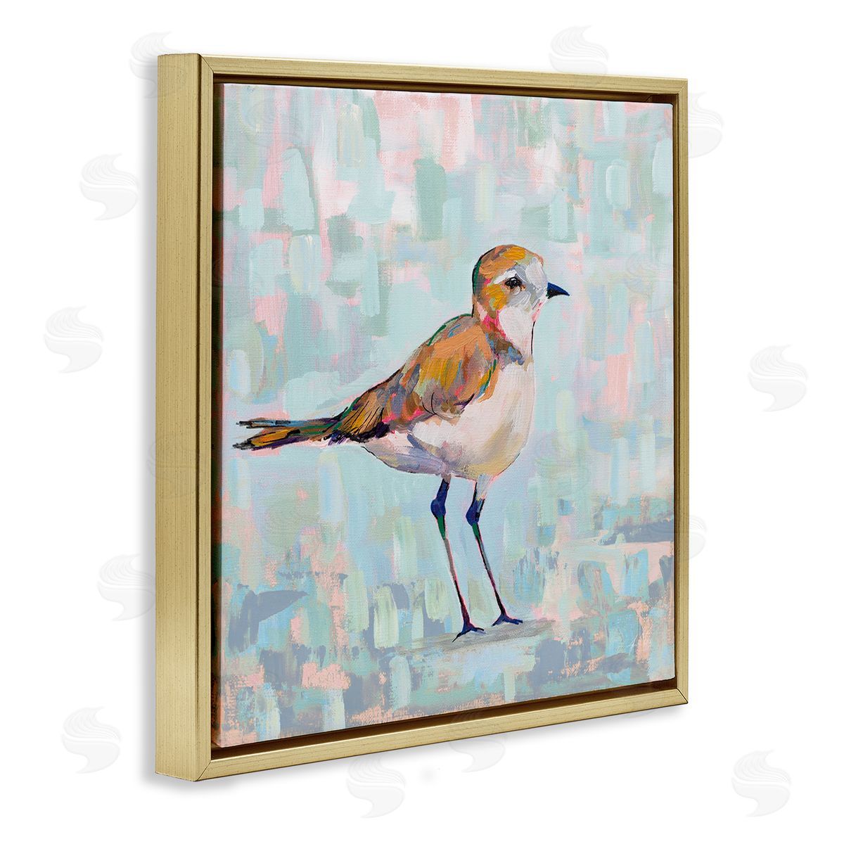 Jeanette Vertentes Coastal Plover Nautical Bird Gold Floating Frame Canvas Wall Art Print
