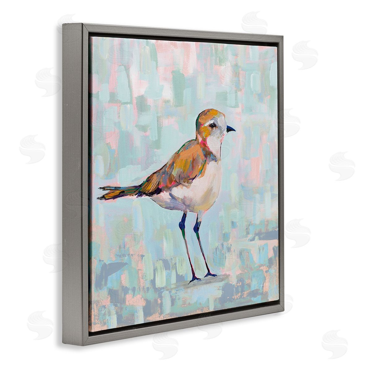 Jeanette Vertentes Coastal Plover Nautical Bird Gray Floating Frame Canvas Wall Art Print