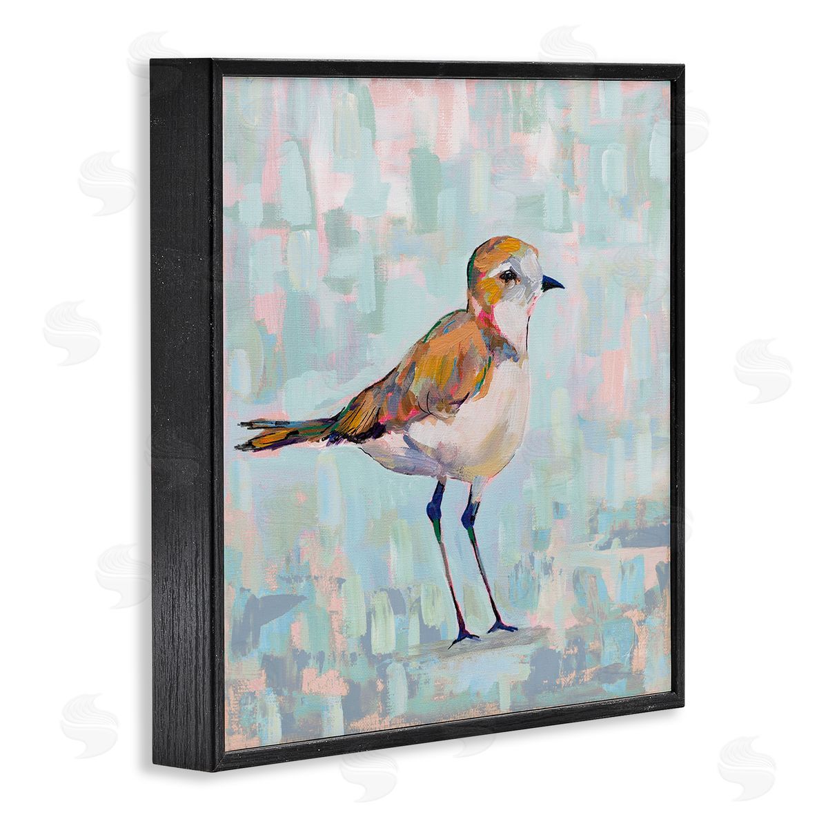 Jeanette Vertentes Coastal Plover Nautical Bird Black Framed Glicee Wall Art Print
