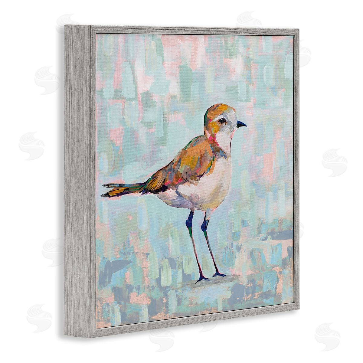 Jeanette Vertentes Coastal Plover Nautical Bird Gray Framed Glicee Wall Art Print