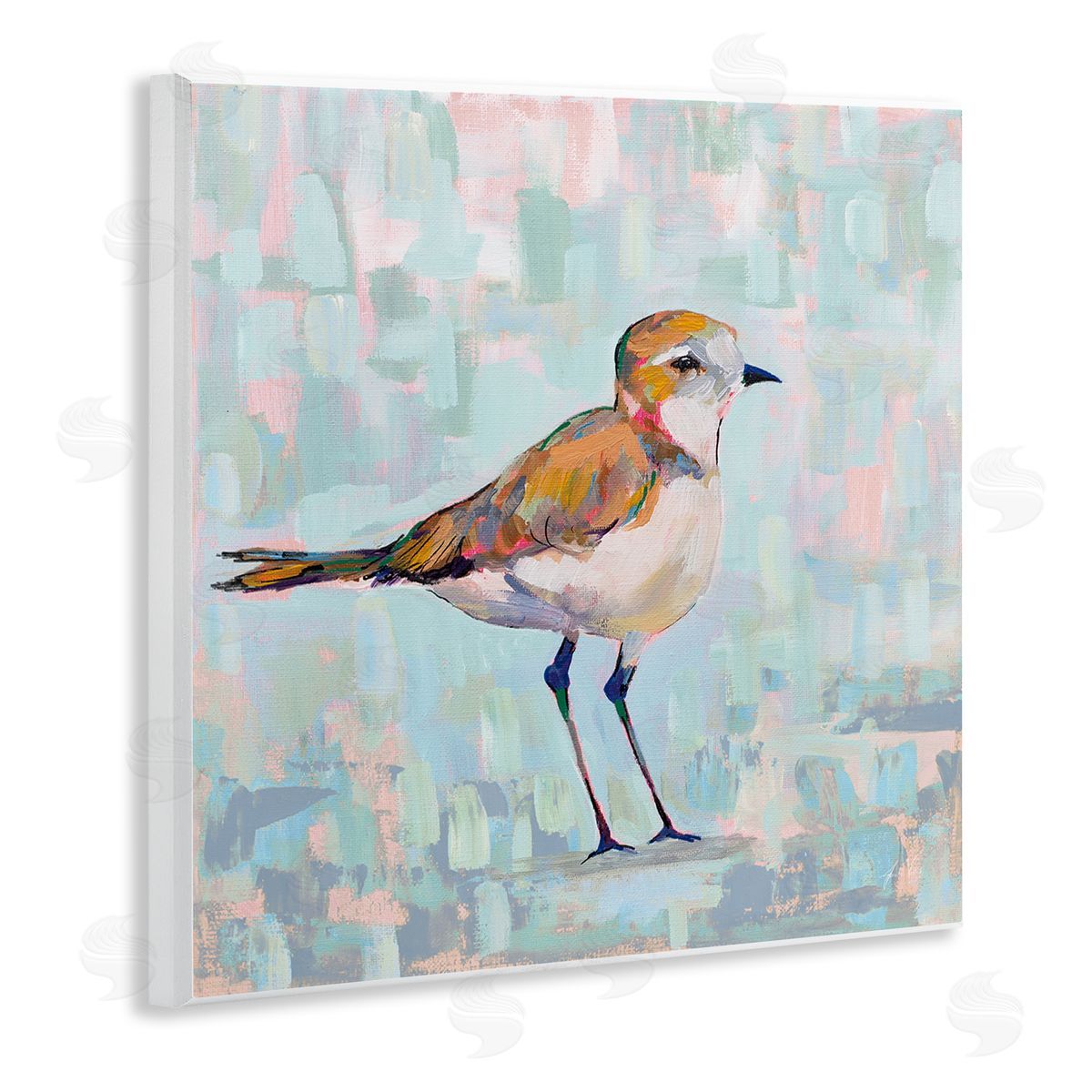 Jeanette Vertentes Coastal Plover Nautical Bird Wooden Wall Plaque Art Print