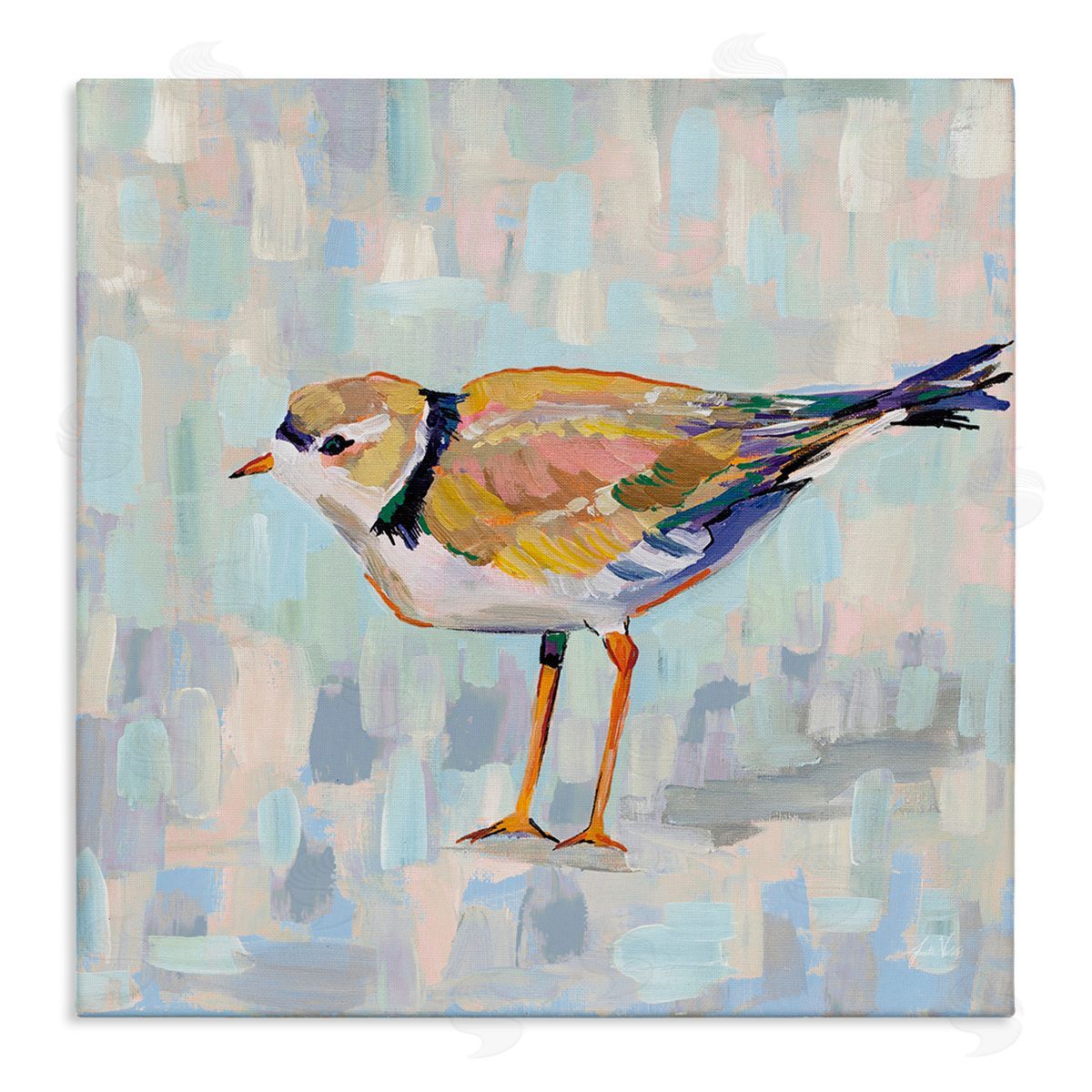 Jeanette Vertentes Coastal Plover Abstract Patchwork Bird Stretched Canvas Wall Art Print