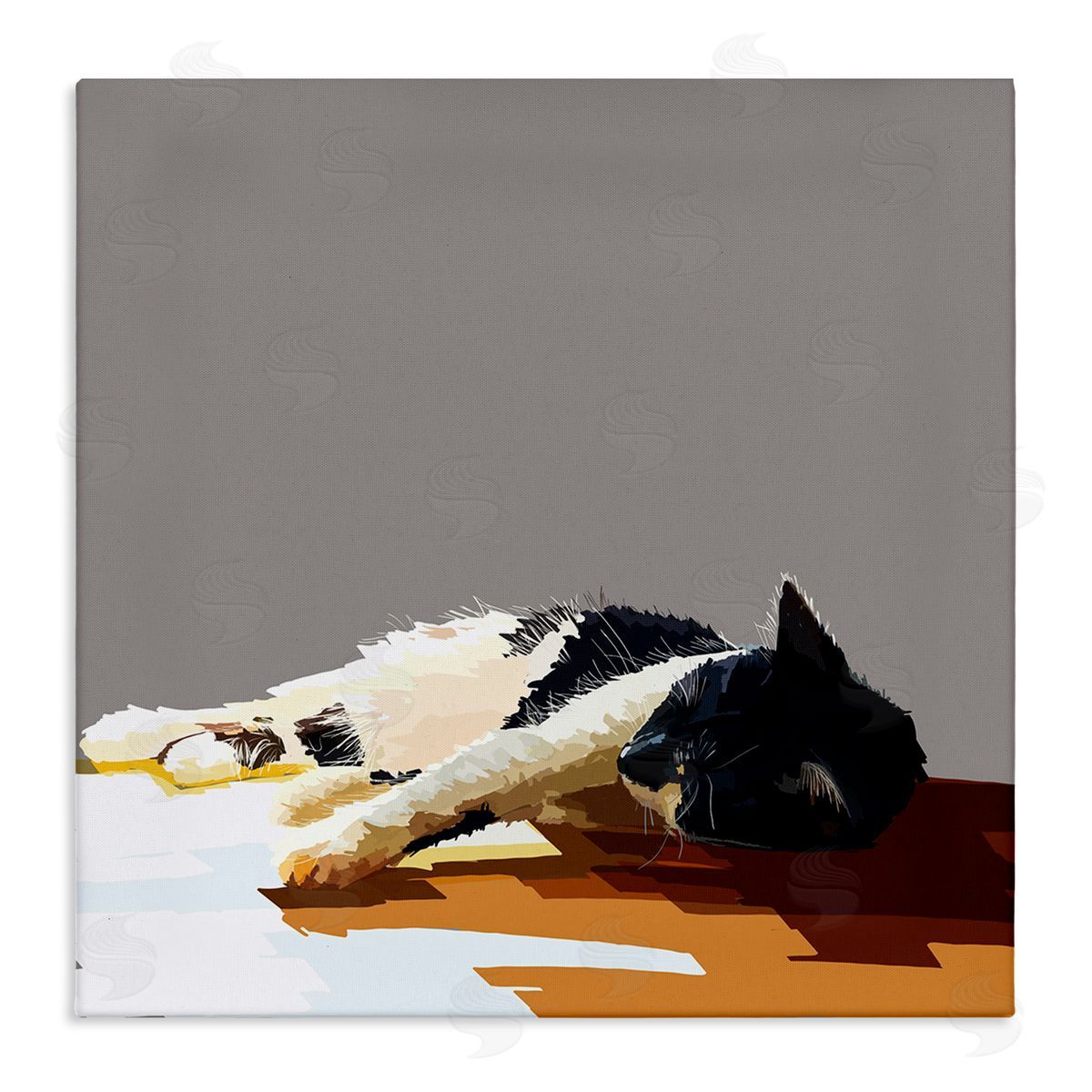 Emily Kalina Restful Cat Lying Down in Sunlight Stretched Canvas Wall Art Print