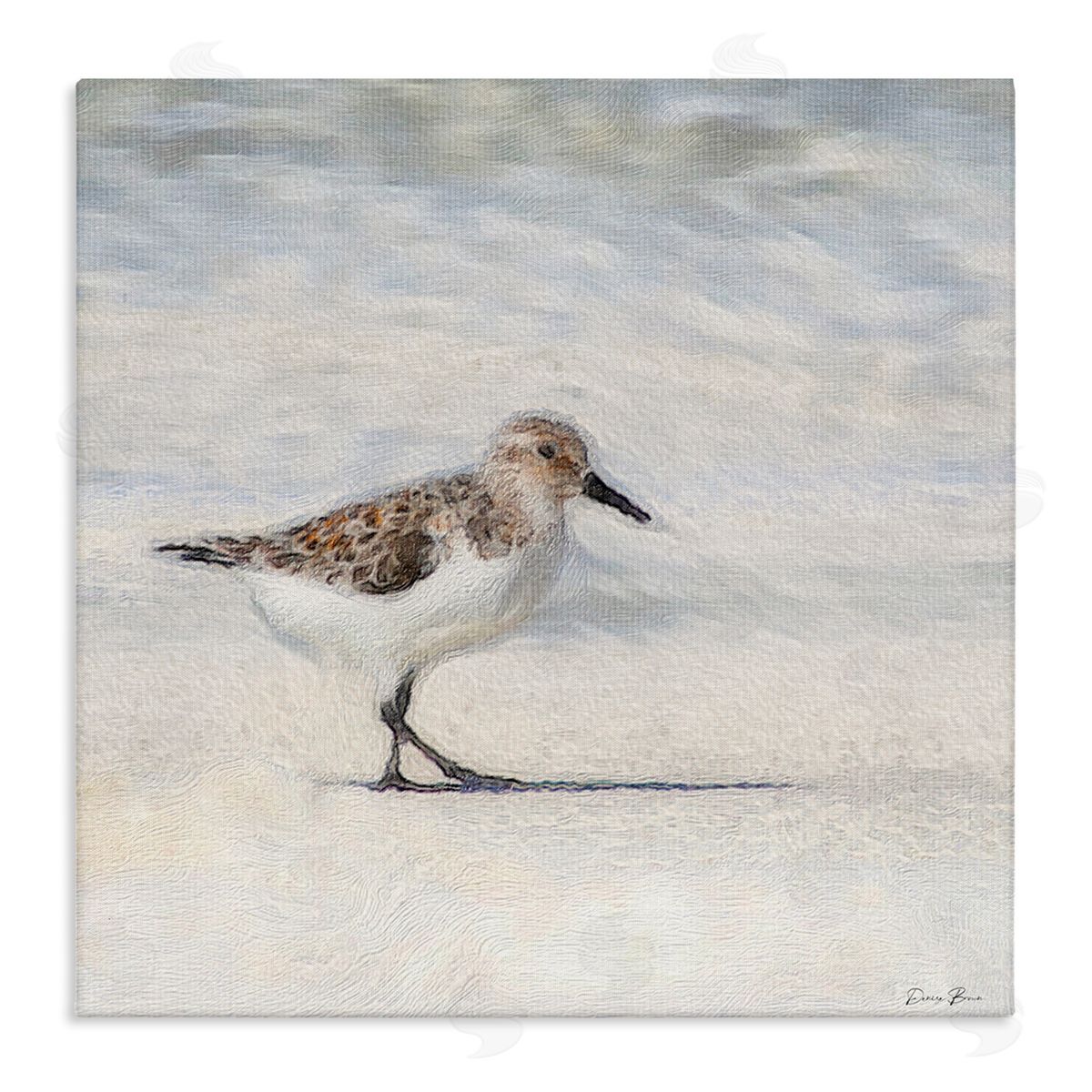 Denise Brown Sandpiper Bird Stepping Beach Sand Stretched Canvas Wall Art Print