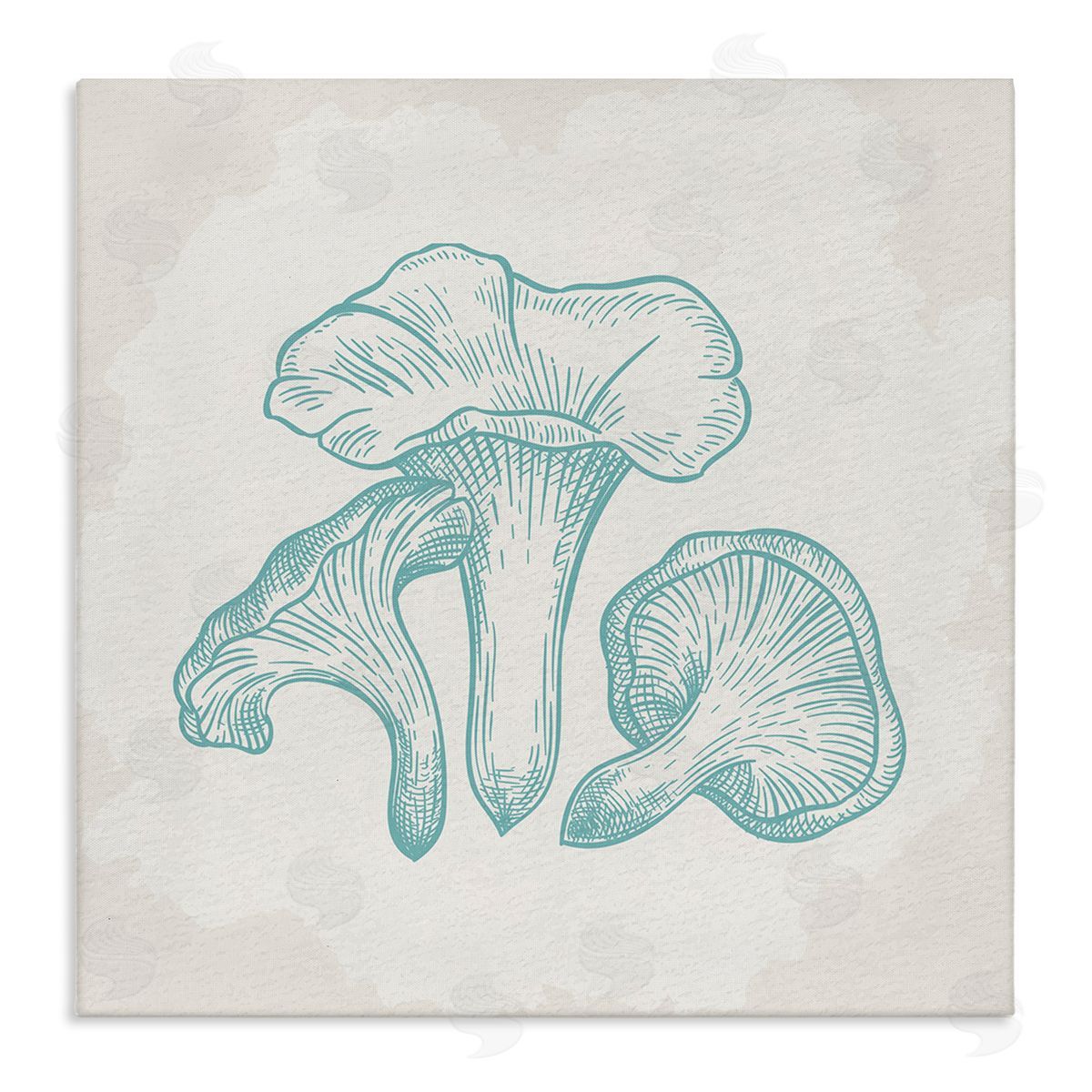Kim Allen Detailed Mushroom Specimen Botanicals Stretched Canvas Wall Art Print