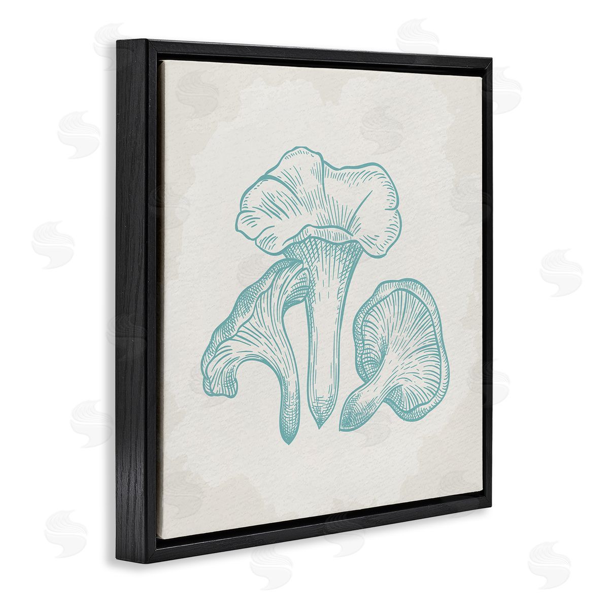 Kim Allen Detailed Mushroom Specimen Botanicals Black Floating Frame Canvas Wall Art Print