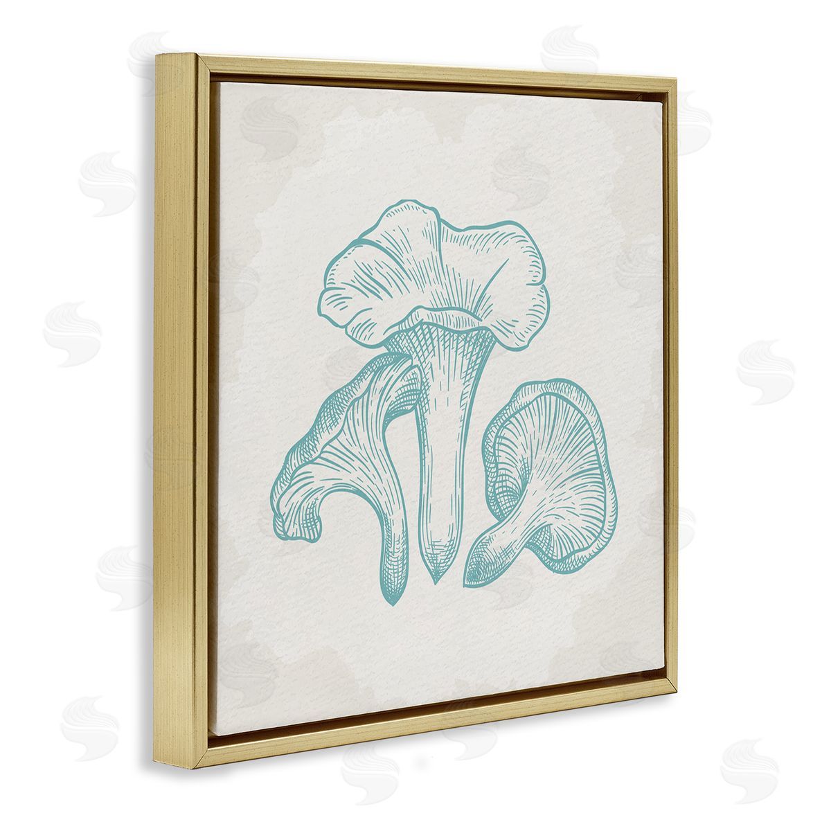 Kim Allen Detailed Mushroom Specimen Botanicals Gold Floating Frame Canvas Wall Art Print