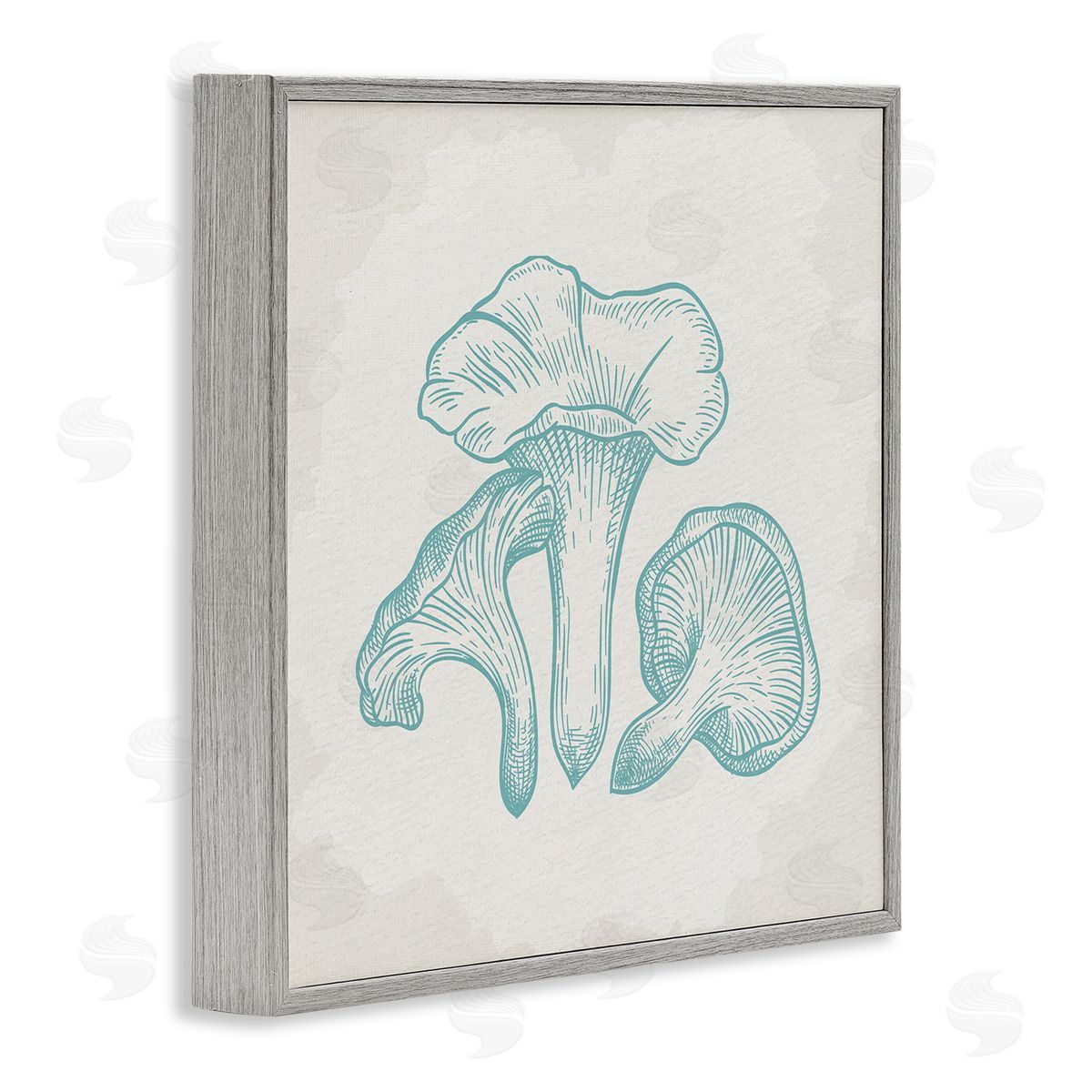 Kim Allen Detailed Mushroom Specimen Botanicals Gray Framed Glicee Wall Art Print