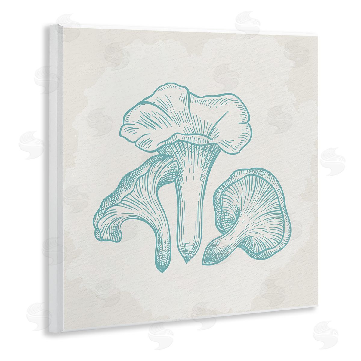 Kim Allen Detailed Mushroom Specimen Botanicals Wooden Wall Plaque Art Print