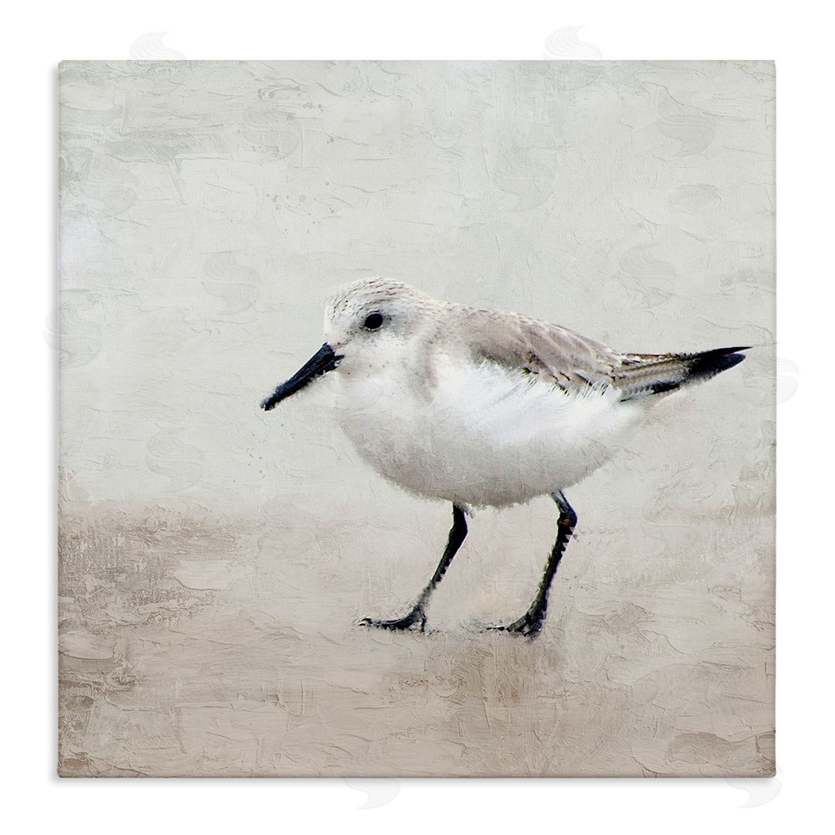 Lone Sandpiper Bird Portrait Canvas Wall Art, Home Decor by Kim Allen