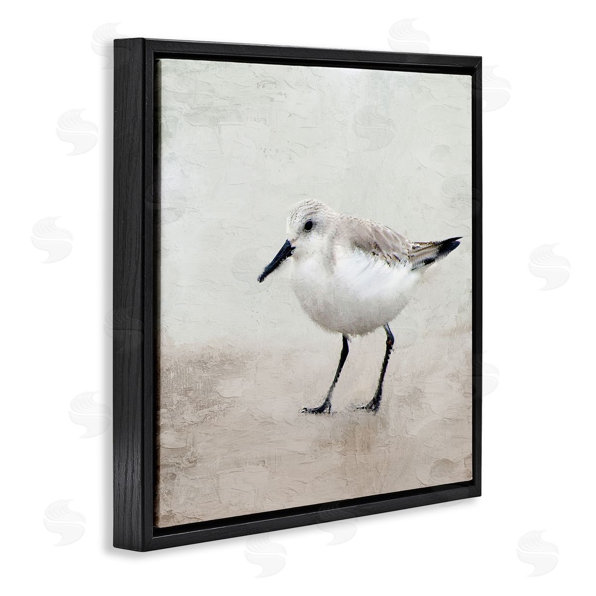 Lone Sandpiper Bird Portrait Black Floating Frame Canvas Wall Art, Home Decor by Kim Allen