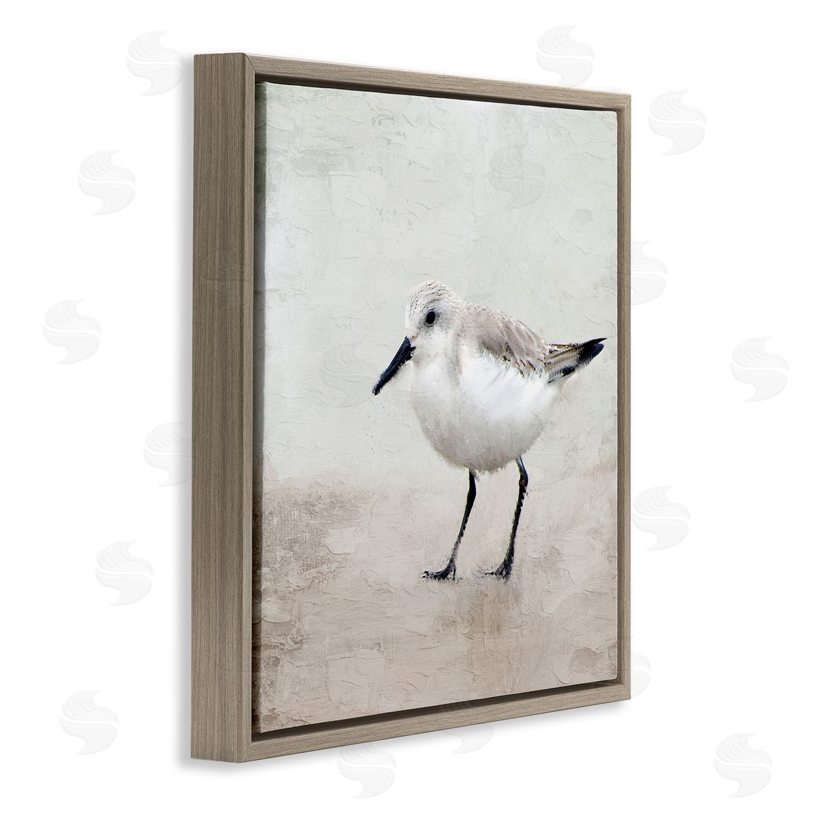 Lone Sandpiper Bird Portrait Brown Floating Frame Canvas Wall Art, Home Decor by Kim Allen
