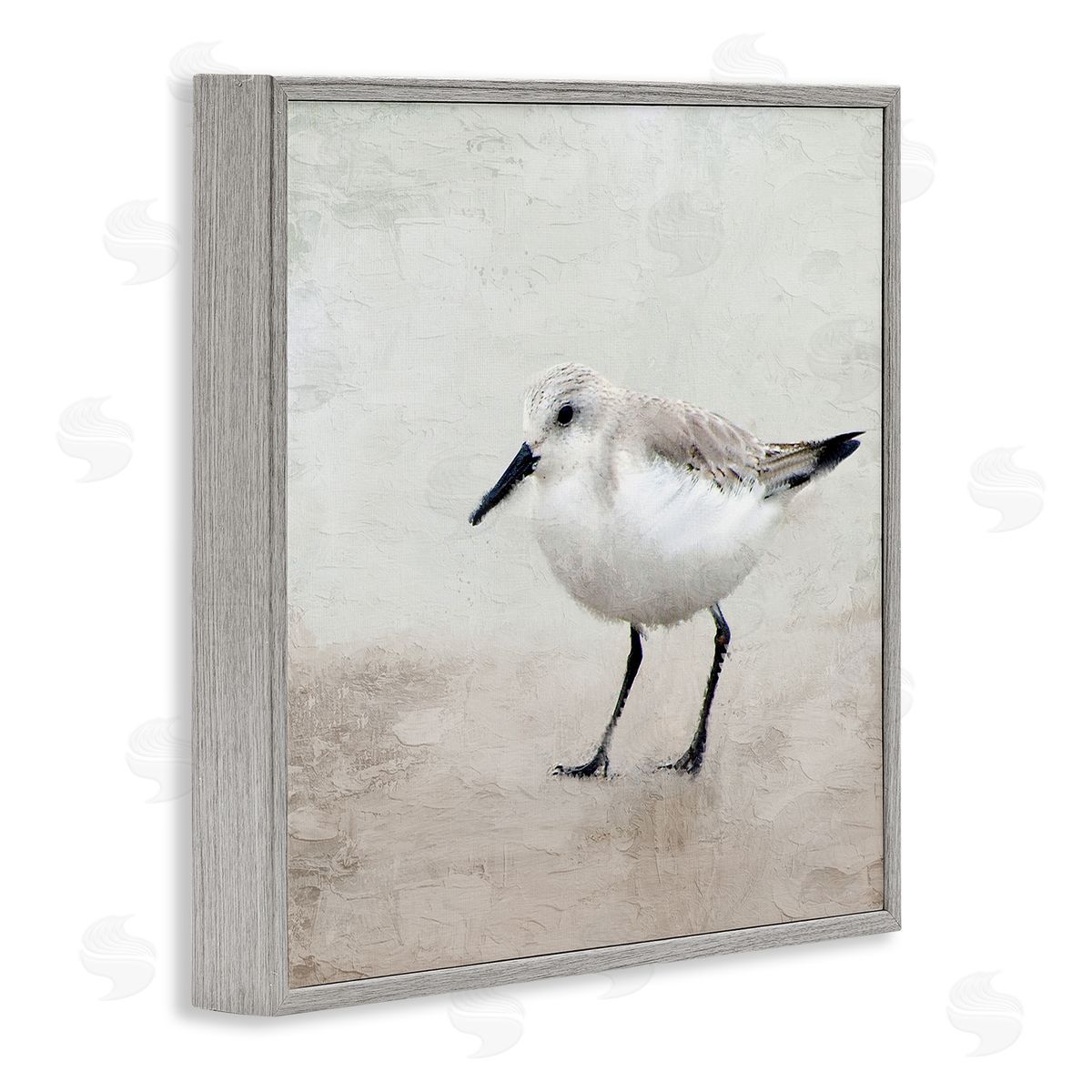 Lone Sandpiper Bird Portrait Grey Frame Print Wall Art, Home Decor by Kim Allen