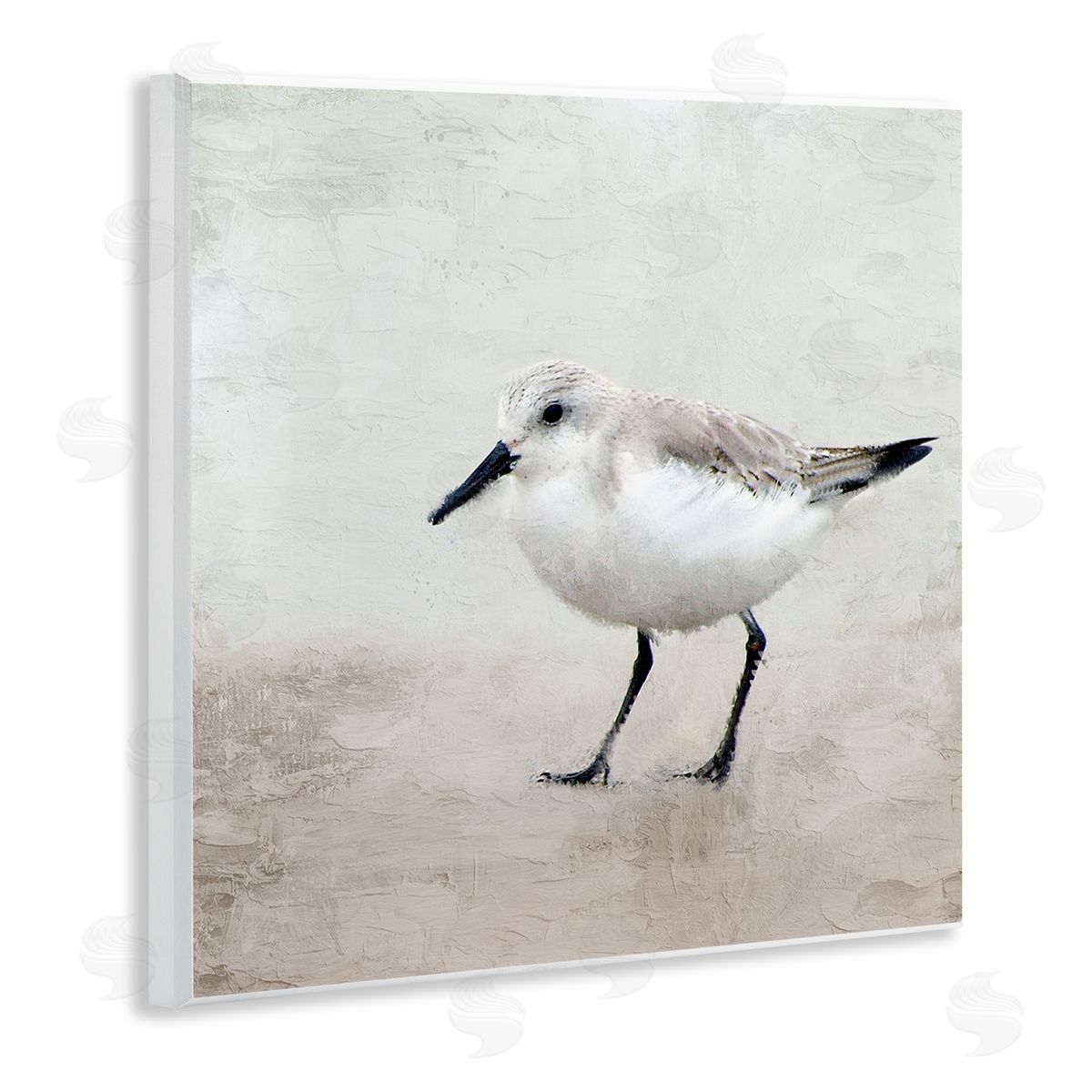 Lone Sandpiper Bird Portrait Wood Plaque Wall Art, Home Decor by Kim Allen