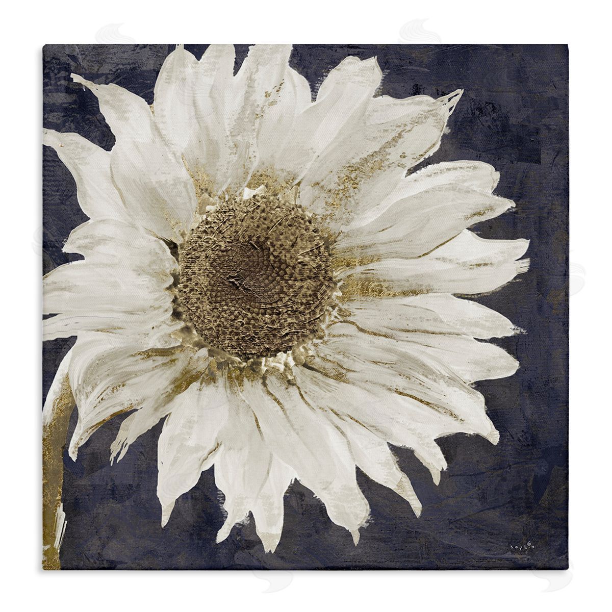 Sophie 6 Modern Distressed Daisy  Stretched Canvas Wall Art Print