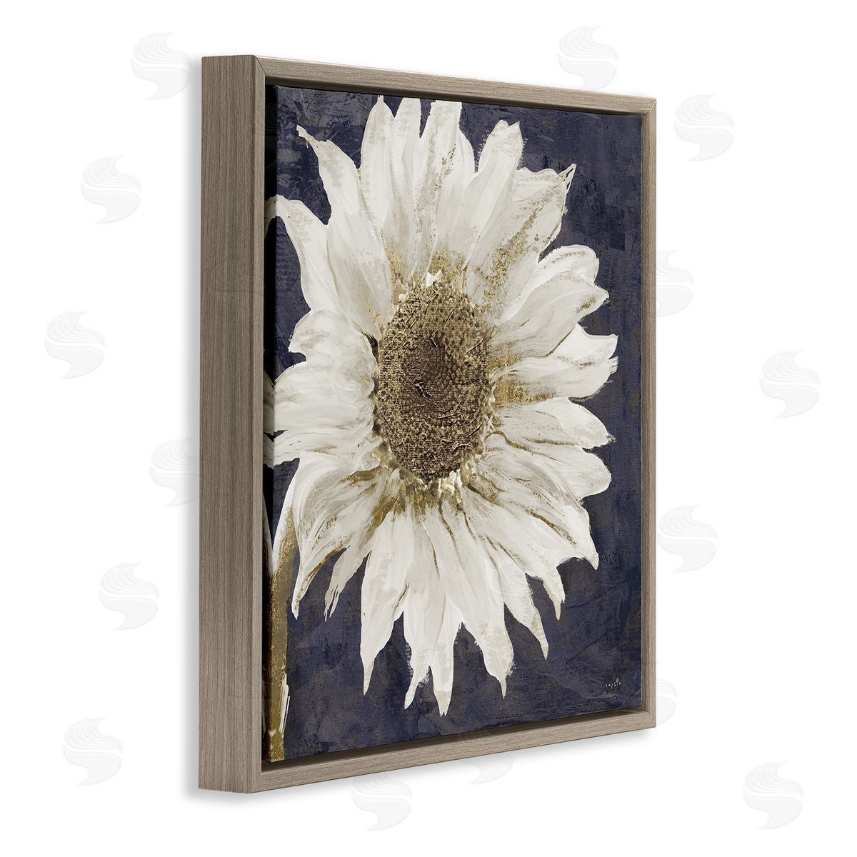 Sophie 6 Modern Distressed Daisy  Brown Floating Frame Canvas Wall Art Print