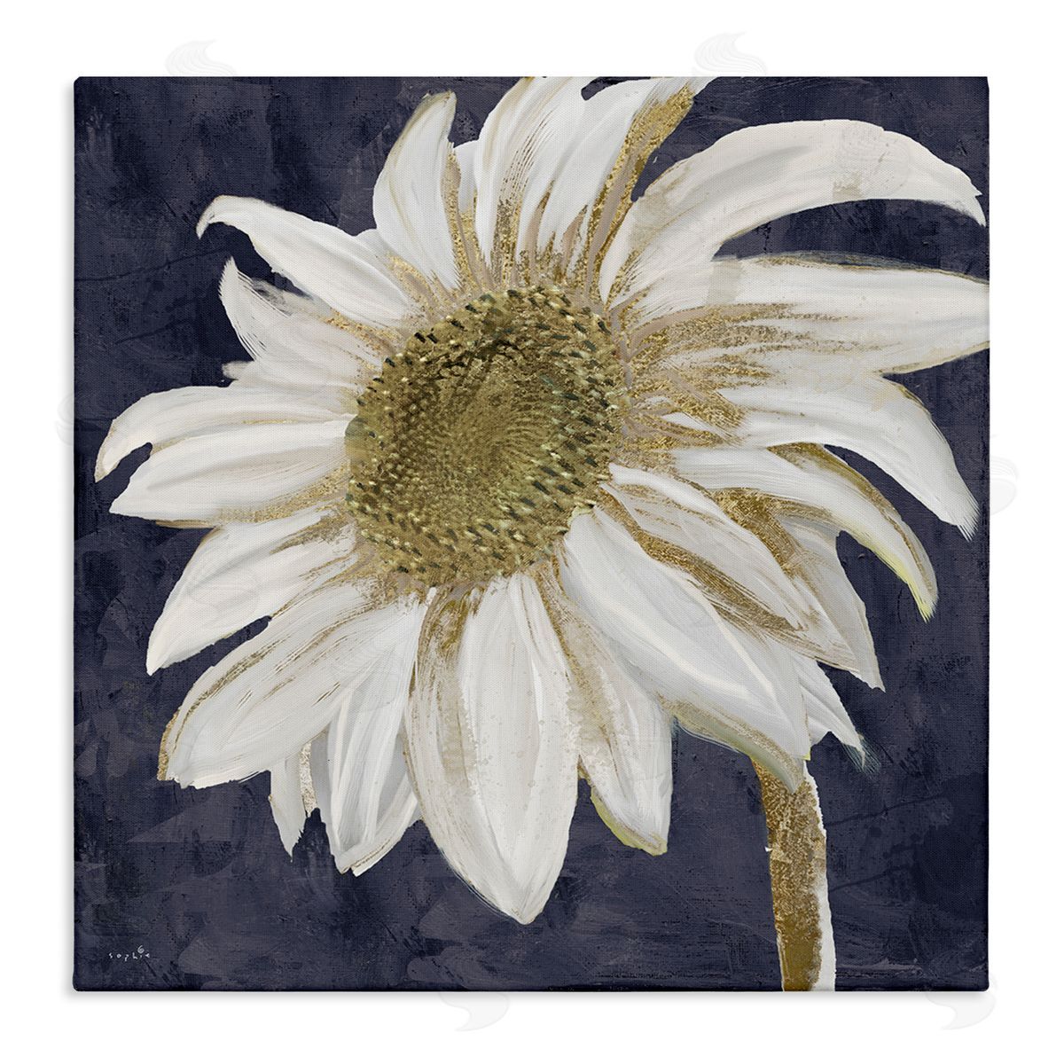Sophie 6 Distressed Daisy Petals Stretched Canvas Wall Art Print