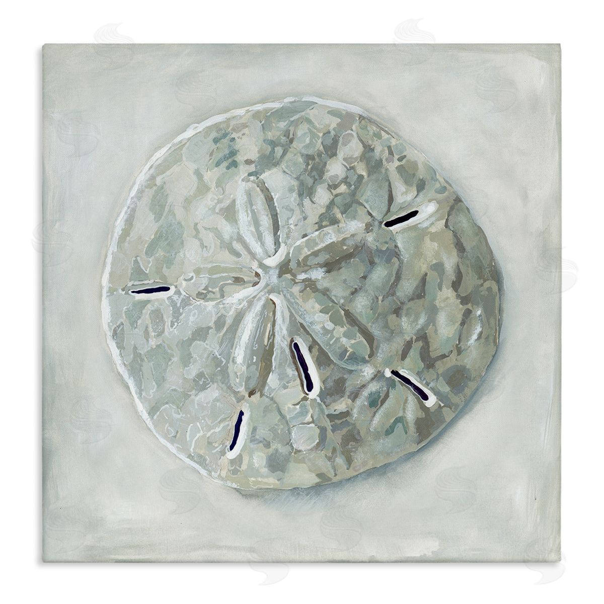 Grey Sand Dollar Seashell Canvas Wall Art, Home Decor by Erica Christopher