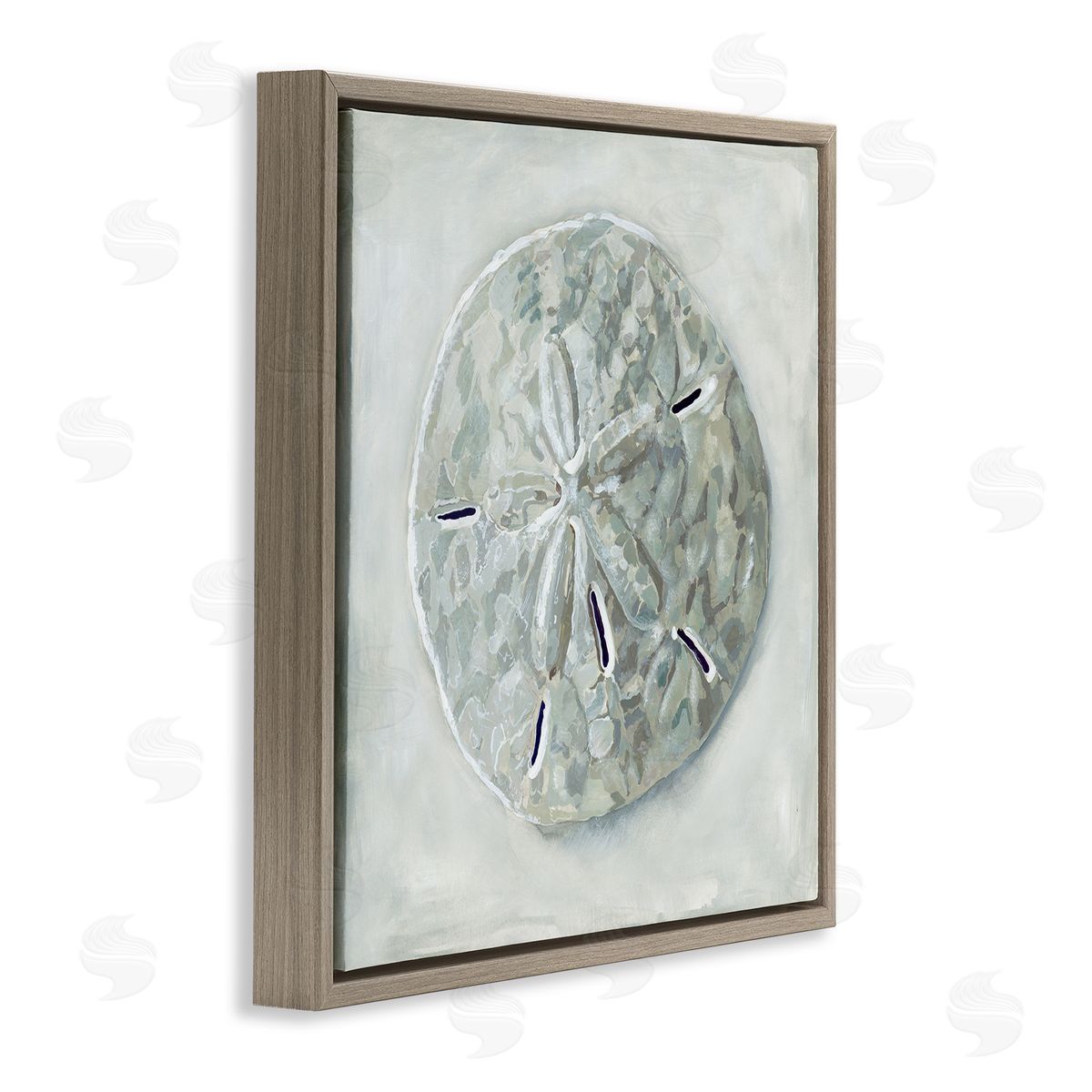 Grey Sand Dollar Seashell Brown Floating Frame Canvas Wall Art, Home Decor by Erica Christopher