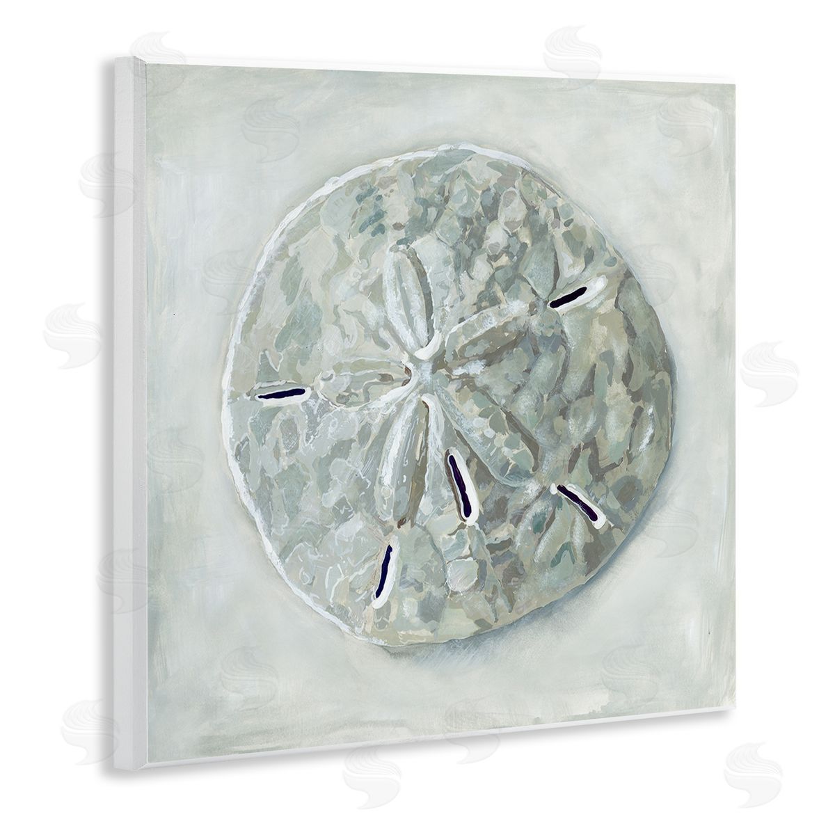 Grey Sand Dollar Seashell Wood Plaque Wall Art, Home Decor by Erica Christopher