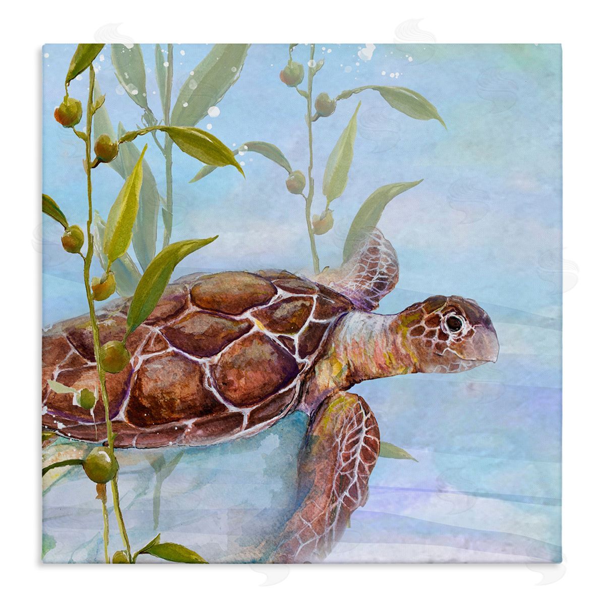 Diannart Turtle Swimming Between Reef Stretched Canvas Wall Art Print