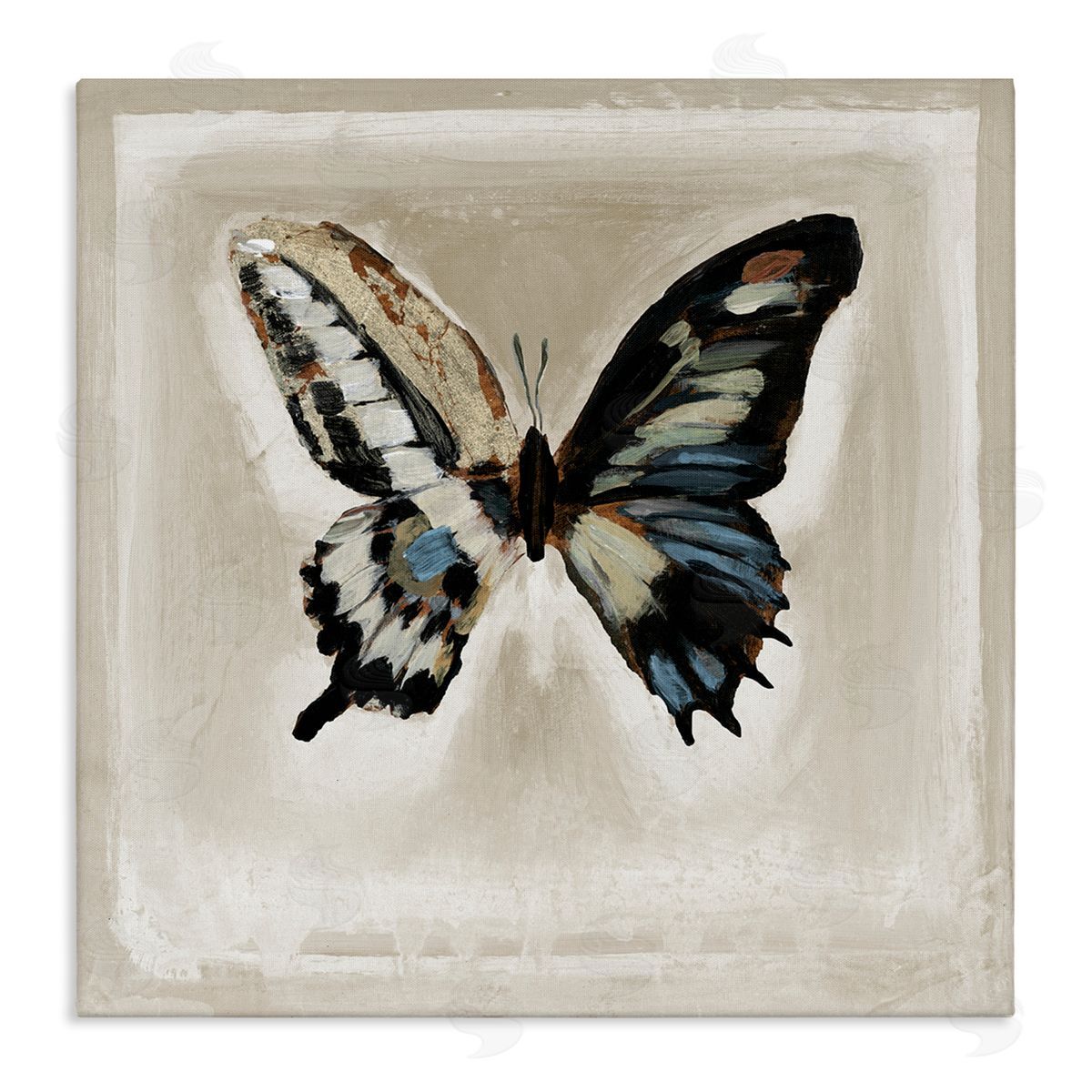 Stacy D'Aguiar Bold Butterfly Insect Stretched Canvas Wall Art Print