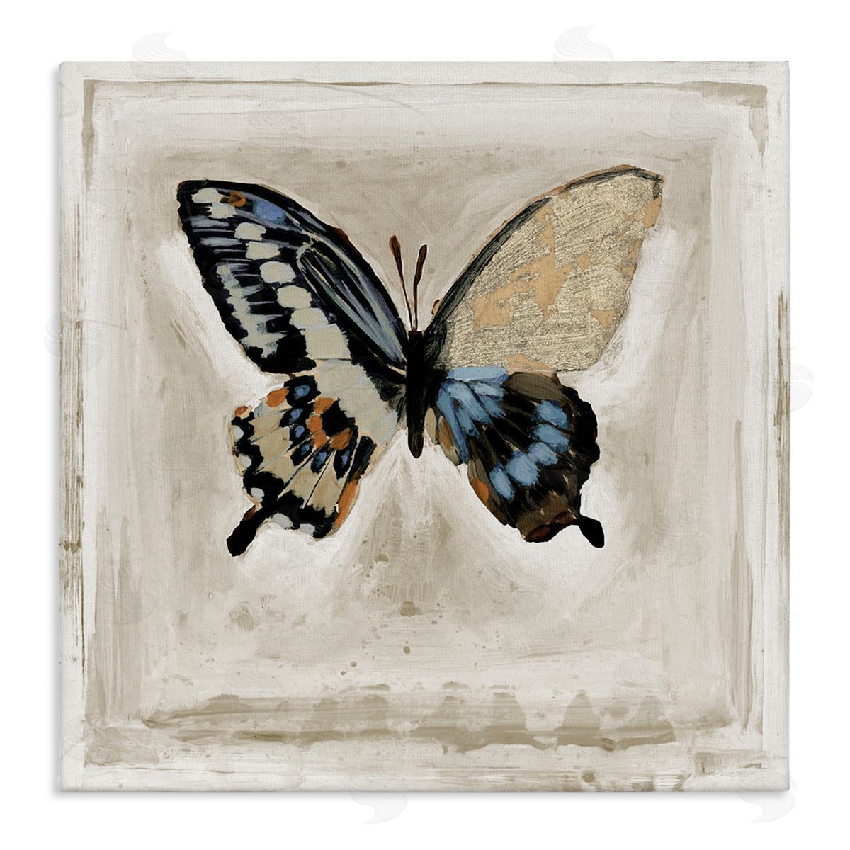 Stacy D'Aguiar Butterfly Wings Square Border Stretched Canvas Wall Art Print