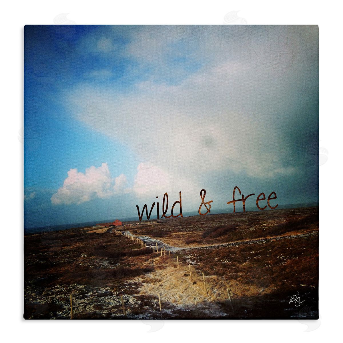 K. Kaufman Wild & Free Rural Landscape Stretched Canvas Wall Art Print