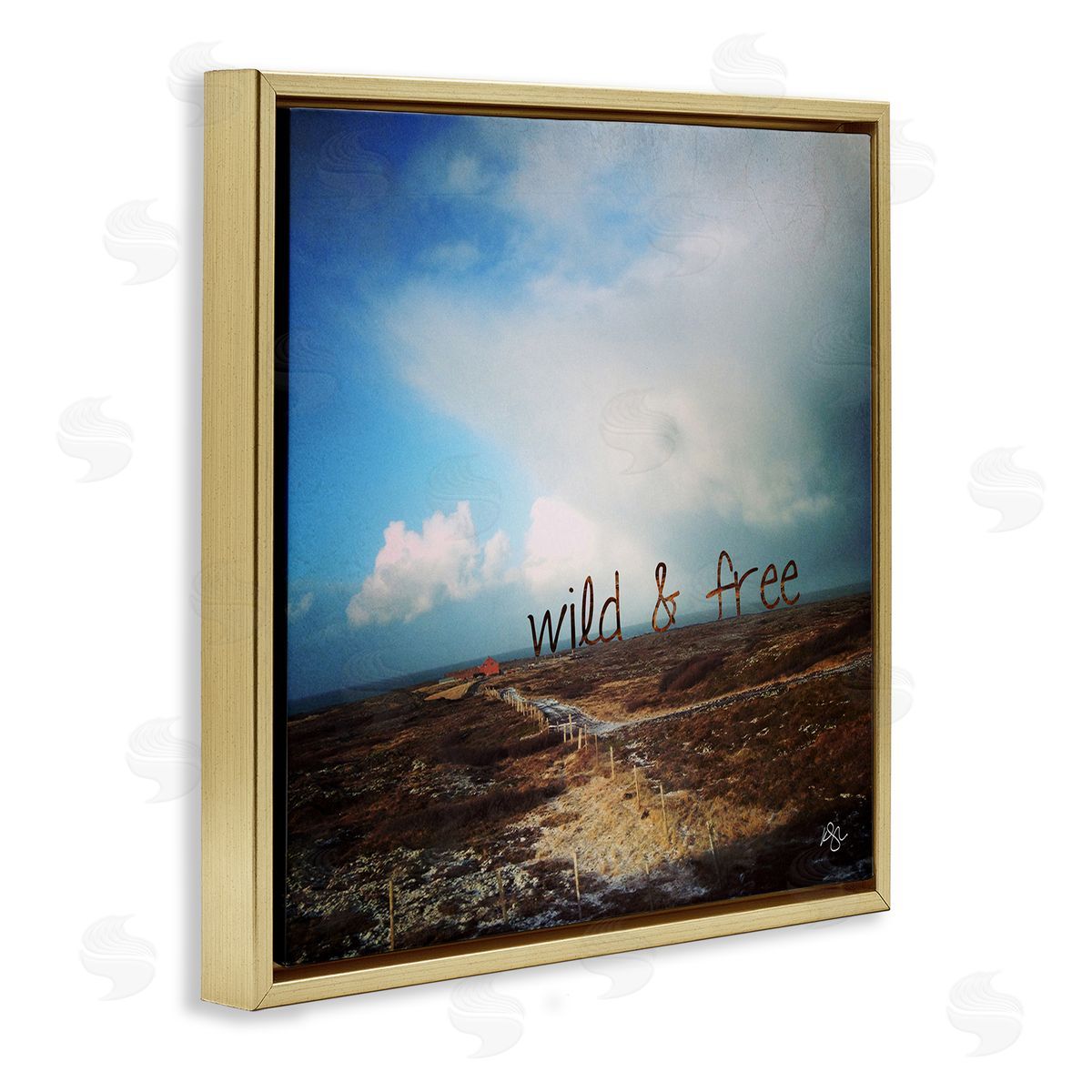 K. Kaufman Wild & Free Rural Landscape Gold Floating Frame Canvas Wall Art Print