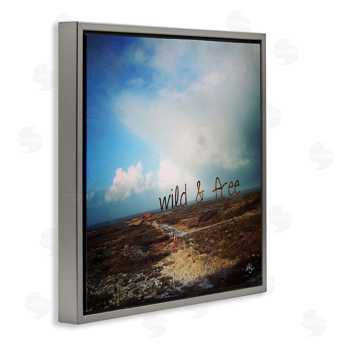 K. Kaufman Wild & Free Rural Landscape Gray Floating Frame Canvas Wall Art Print