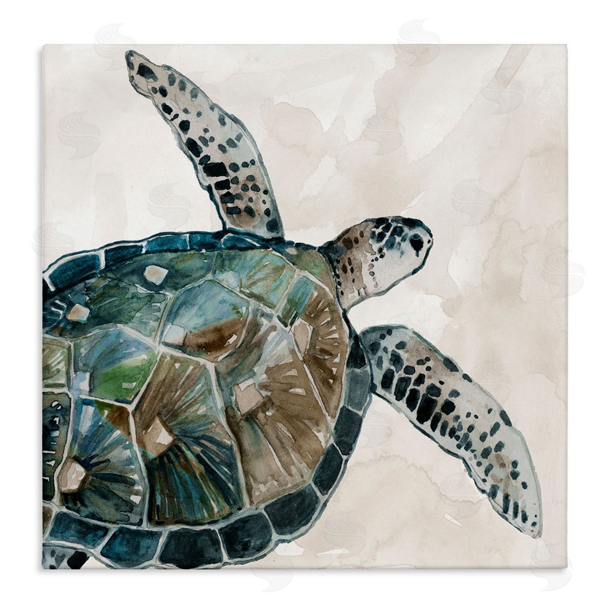 Carol Robinson Brown Tortoise Sea Life Stretched Canvas Wall Art Print