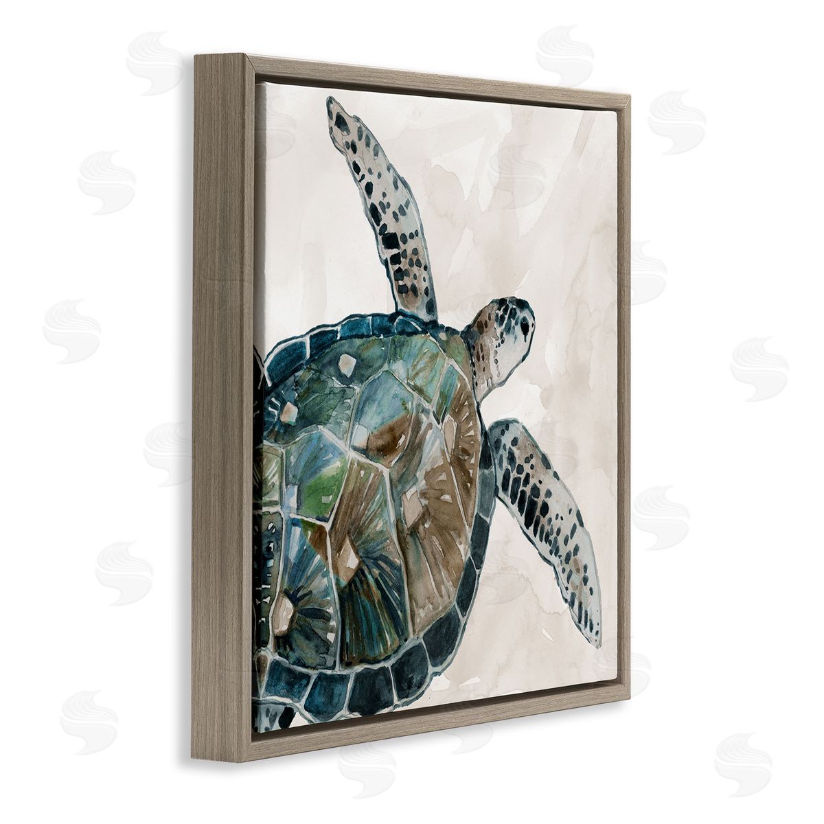 Carol Robinson Brown Tortoise Sea Life Brown Floating Frame Canvas Wall Art Print