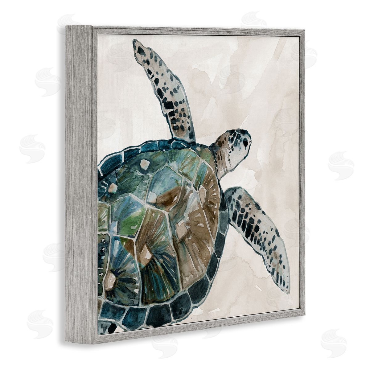 Carol Robinson Brown Tortoise Sea Life Gray Framed Glicee Wall Art Print