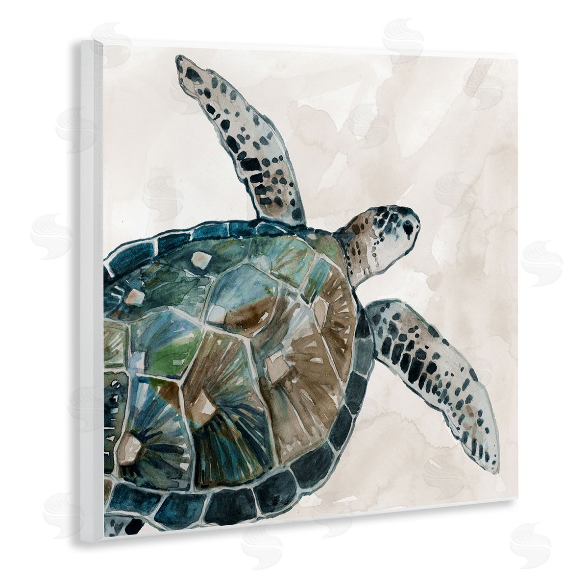 Carol Robinson Brown Tortoise Sea Life Wooden Wall Plaque Art Print