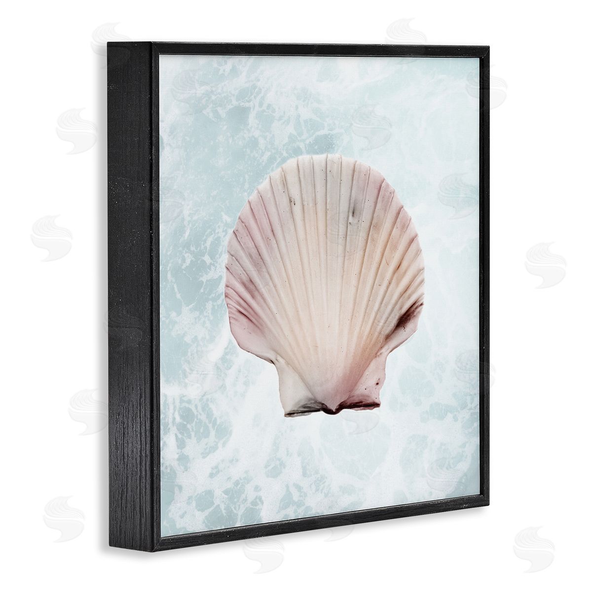 Marcus Prime Clam Shell Sea Water Black Framed Glicee Wall Art Print
