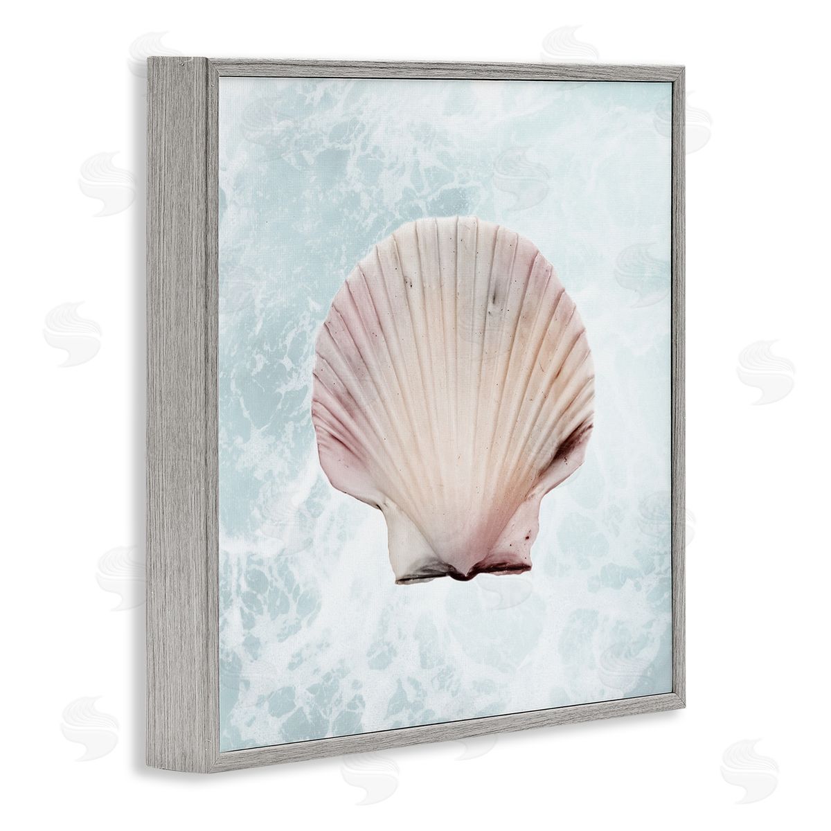 Marcus Prime Clam Shell Sea Water Gray Framed Glicee Wall Art Print