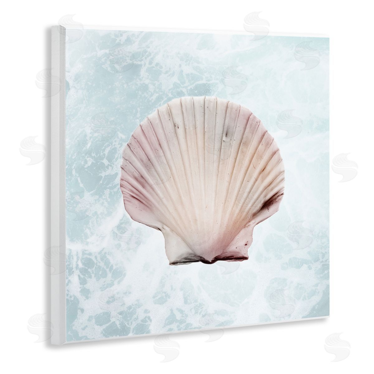 Marcus Prime Clam Shell Sea Water Wooden Wall Plaque Art Print