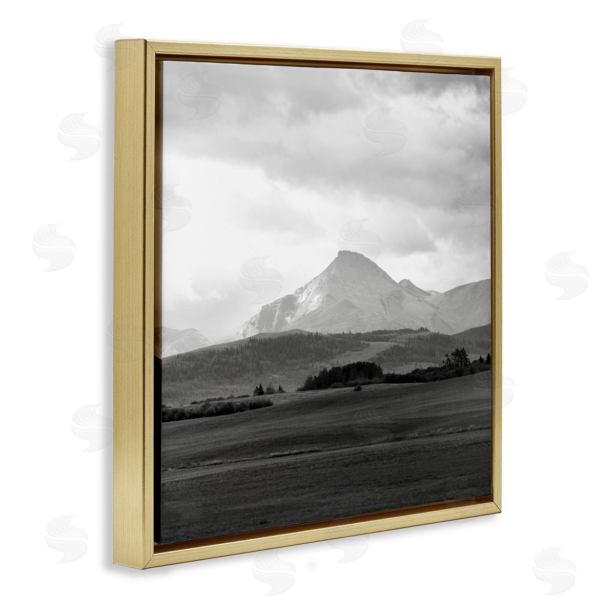 Carol Robinson Foggy Mountain Grassland Gold Floating Frame Canvas Wall Art Print