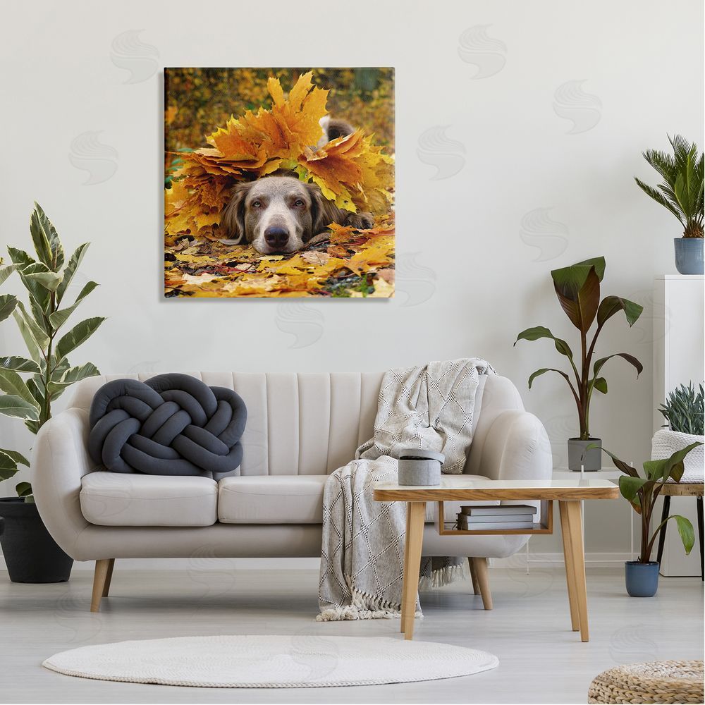 Stupell Studio Happy Puppy Autumn Foliage Canvas Wall Art in Room
