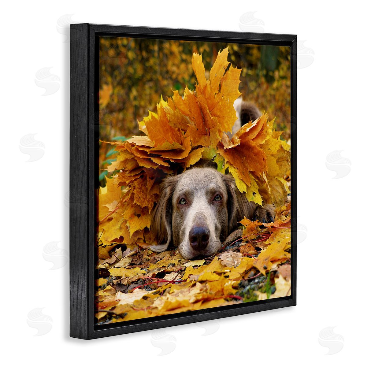Stupell Studio Happy Puppy Autumn Foliage Black Floating Frame Canvas Wall Art Print