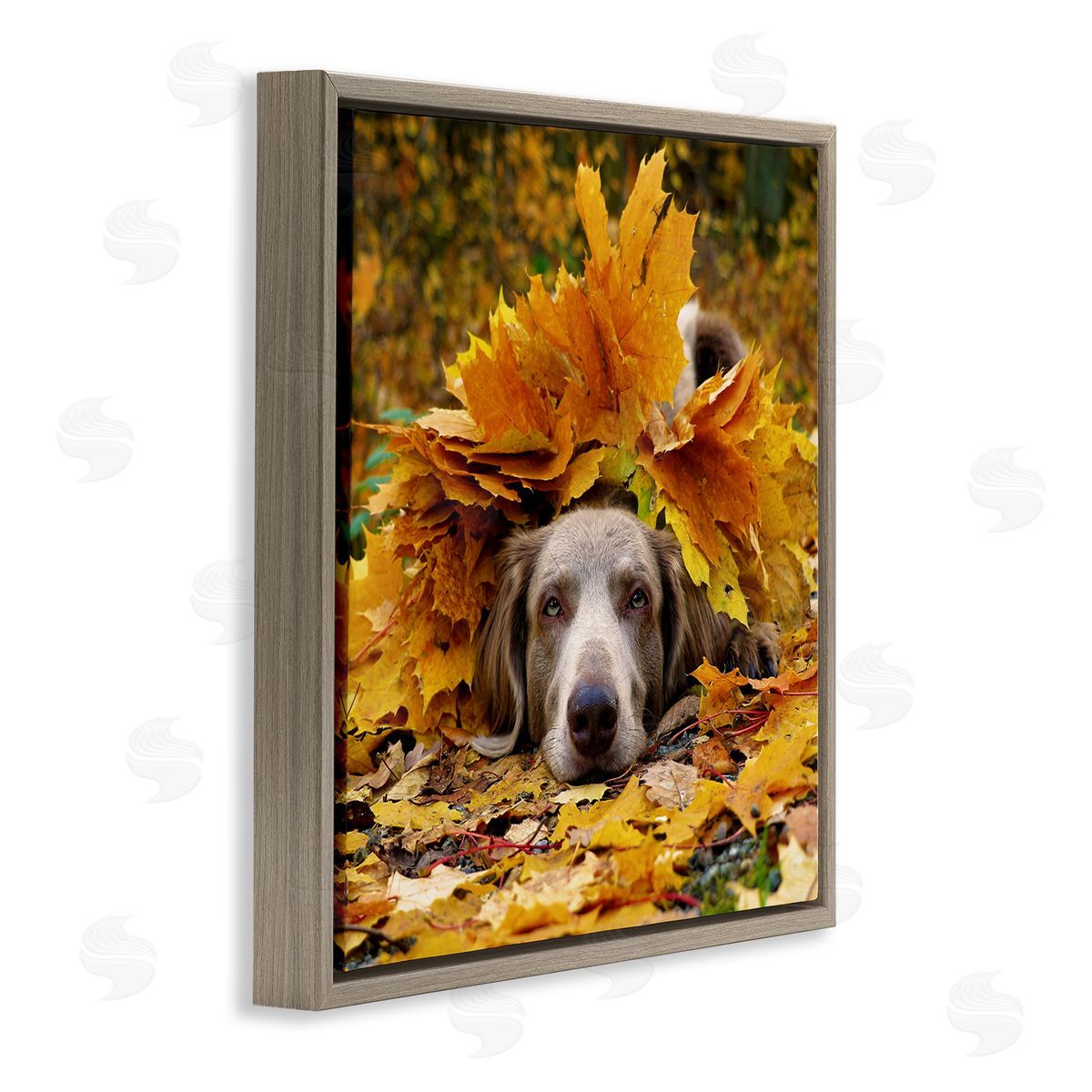 Stupell Studio Happy Puppy Autumn Foliage Brown Floating Frame Canvas Wall Art Print